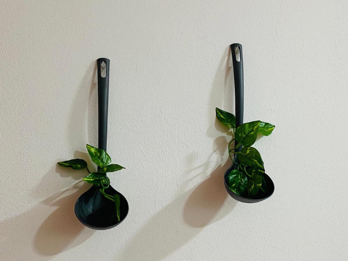 Apartamento A Tixola ,Casco Historico Pontevedra Extérieur photo